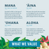 Assorted Macadamias - The Wanderlust Collection Sweet & Savory Cups - Hawaiian Host X Mauna Loa Gallery Thumbnail Image
