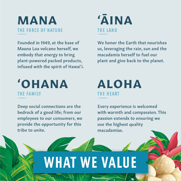 Flavored Macadamias - Hawaiian Sea Salt Medium Bag - Hawaiian Host X Mauna Loa Gallery Fullscreen Image
