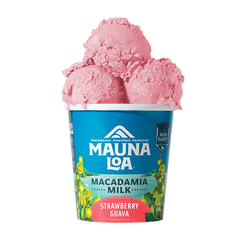 Non-Dairy Ice Cream - Strawberry Guava