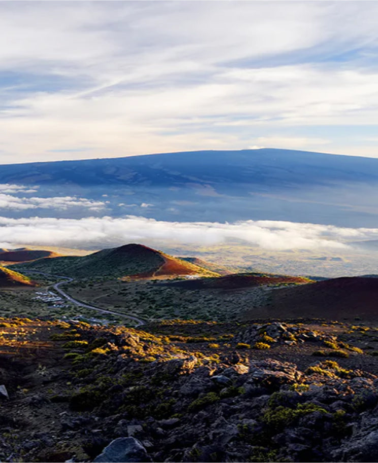 The Island of Hawai'i is a place of new beginnings