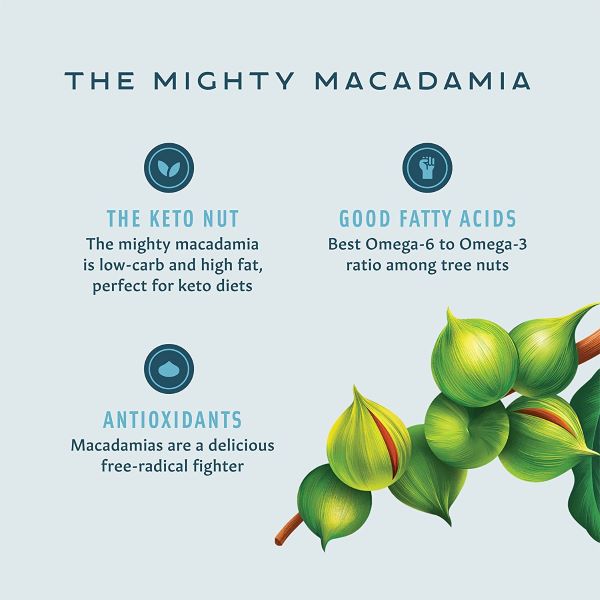 Flavored Macadamias - Maui Onion and Garlic Medium Bag - Hawaiian Host X Mauna Loa Gallery Fullscreen Image