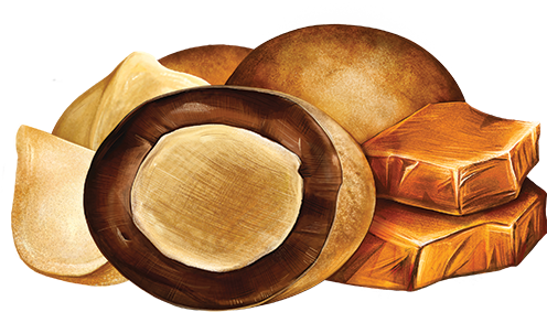 Chocolate Covered Macadamias - Milk Chocolate Toffee Medium Bag Product Image